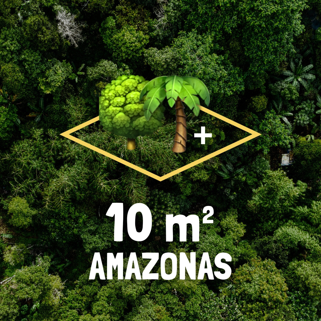 10m² Regenwald - jeden Monat