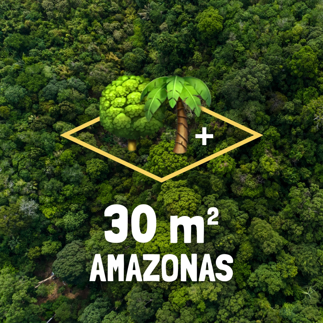 30m² Rainforest - Every Month