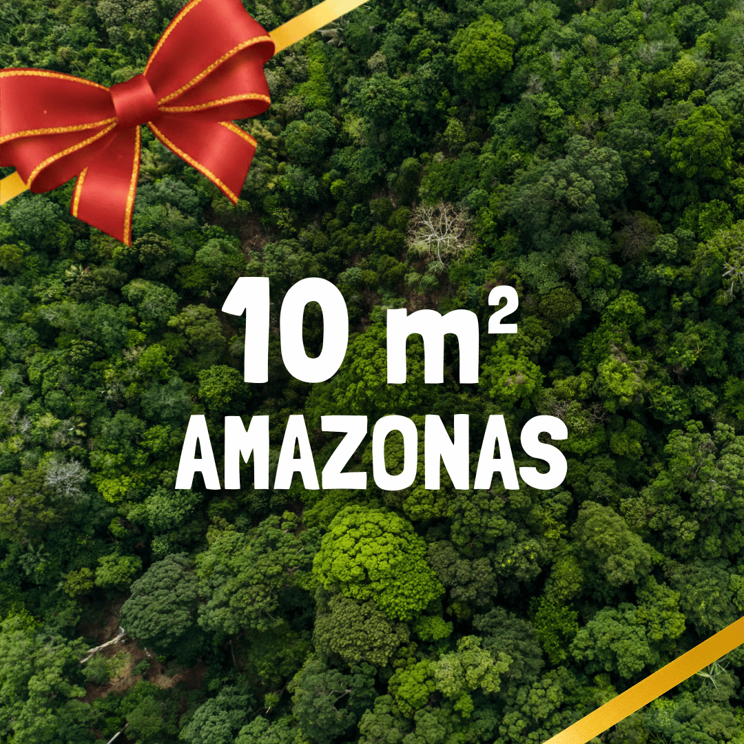Geschenk 10m² Regenwald - jeden Monat