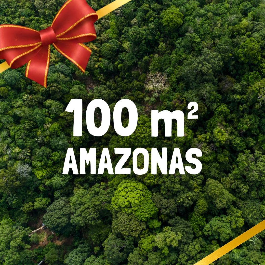 10m² Rainforest - Every Month