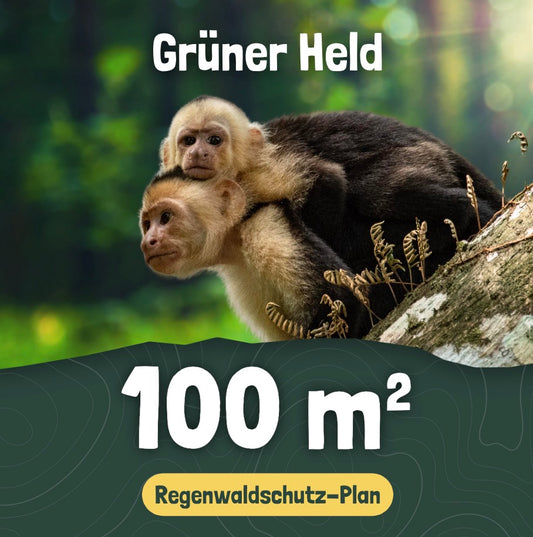 100 m² - Rainforest Protection Plan