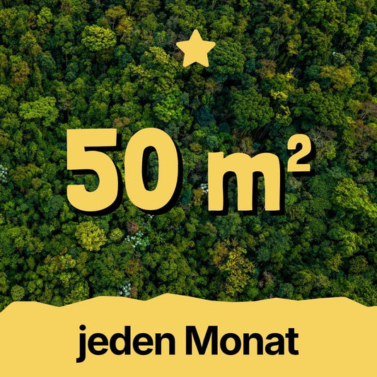 30m² Rainforest - Every Month