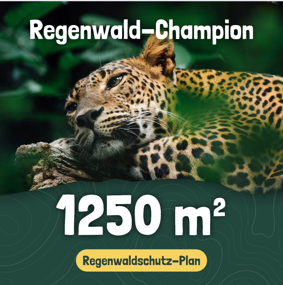 1250 m² - Rainforest Protection Plan