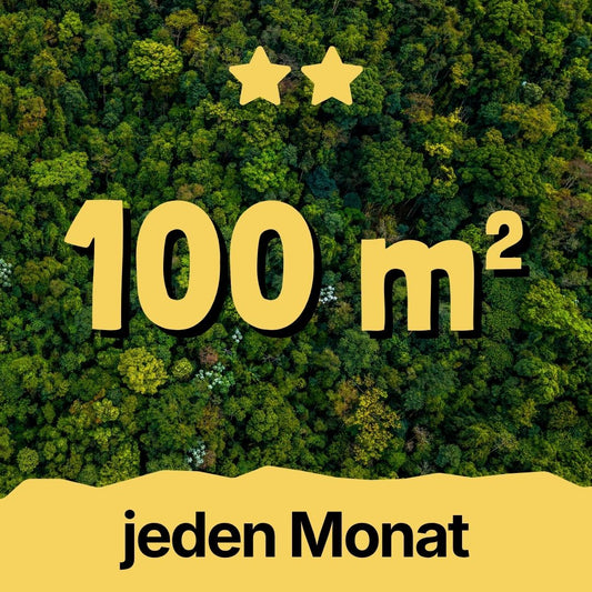 30m² Rainforest - Every Month