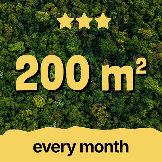 30m² Rainforest - Every Month
