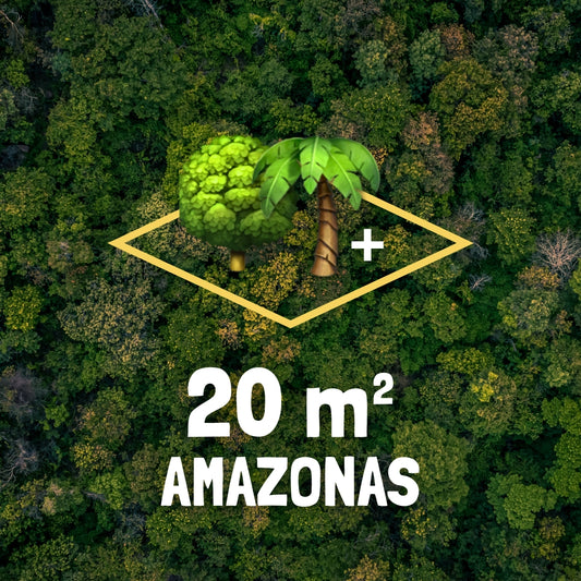 20m² Rainforest - Every Month