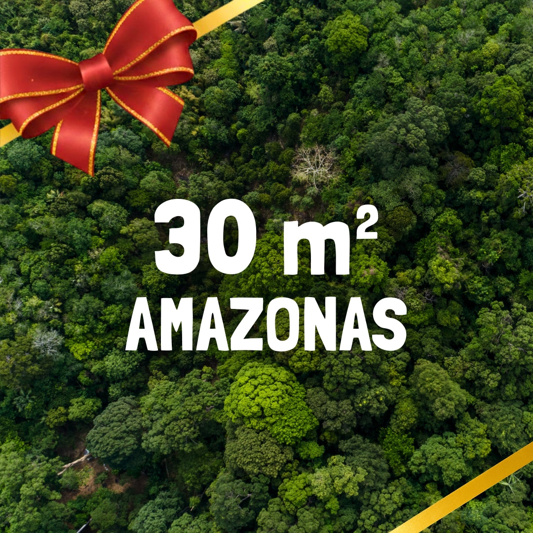 30m² Rainforest - Every Month