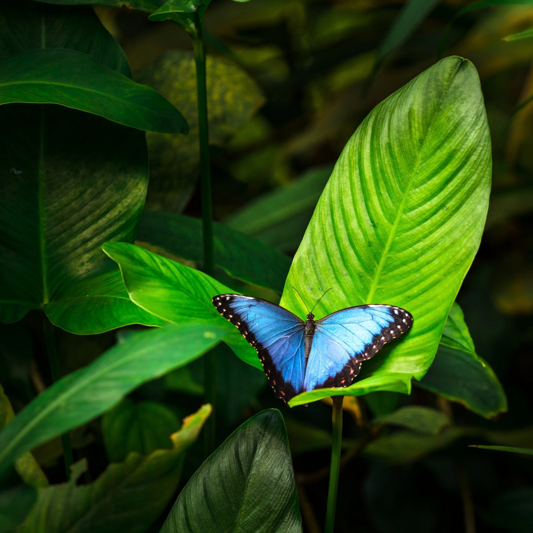 Naturschutzgebiet Bild