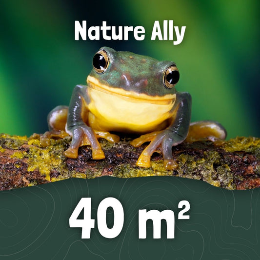 40 m² - Rainforest