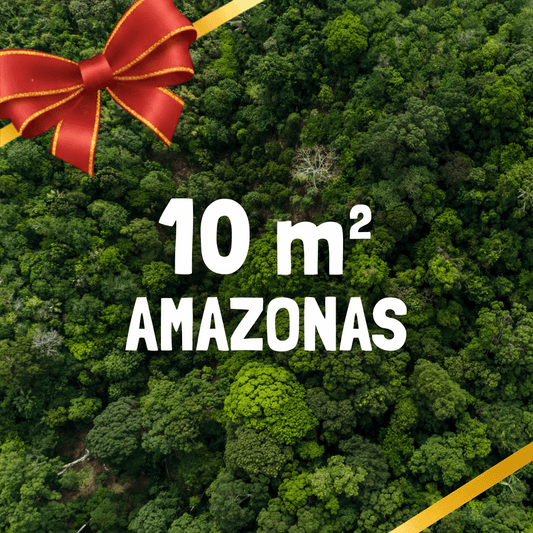 30m² Rainforest - Every Month