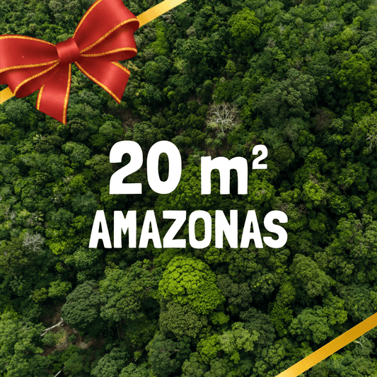 30m² Rainforest - Every Month