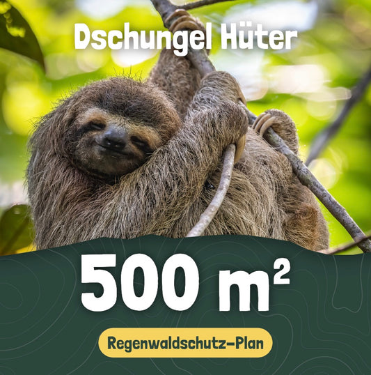 500 m² - Rainforest Protection Plan