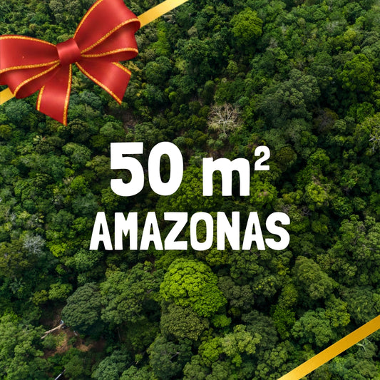 10m² Rainforest - Every Month