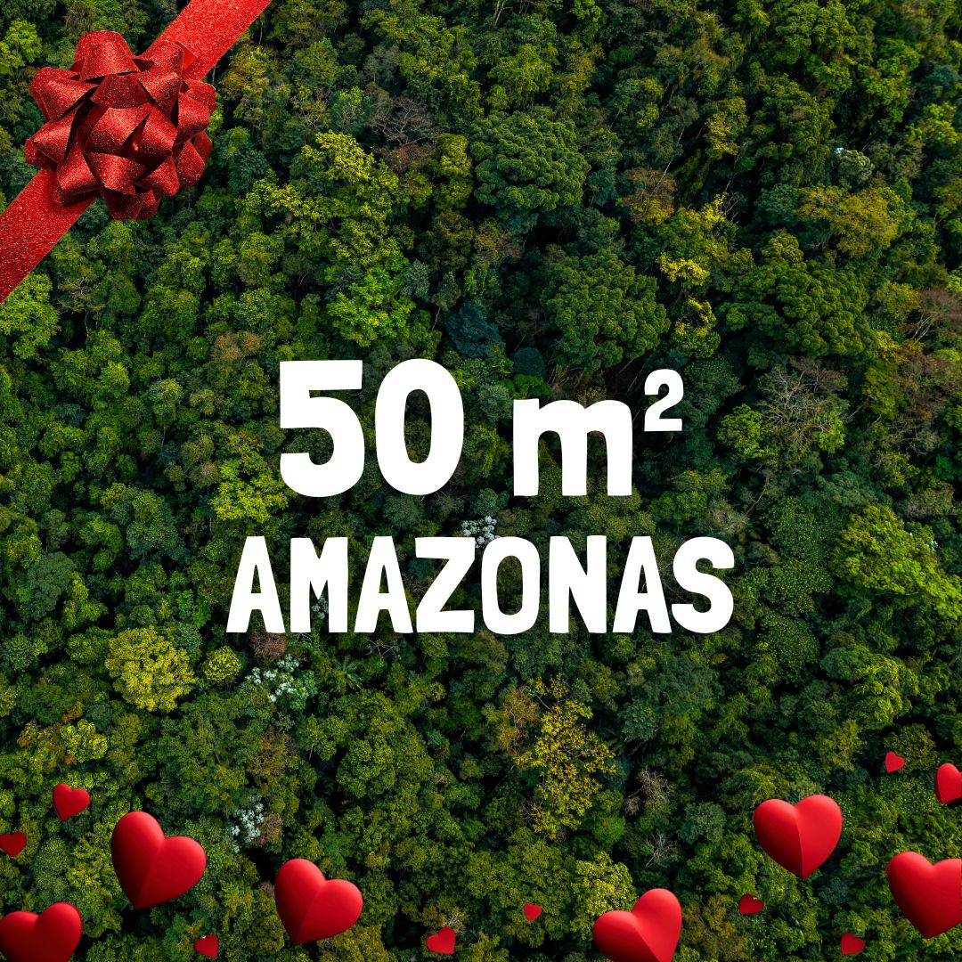 Geschenk - 50m² Regenwaldschutz
