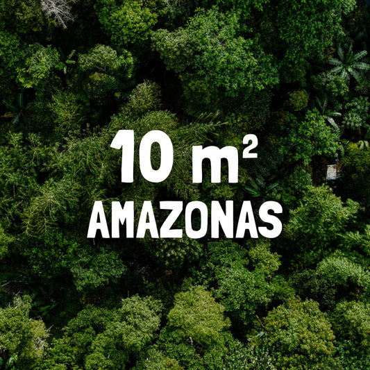 10m² Rainforest - Every Month