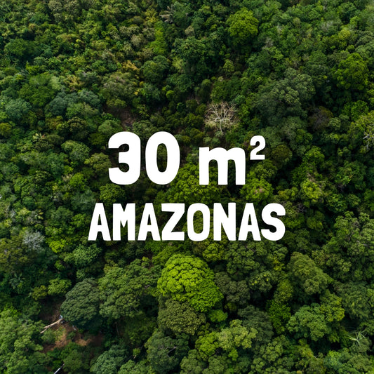 30m² Rainforest - Every Month