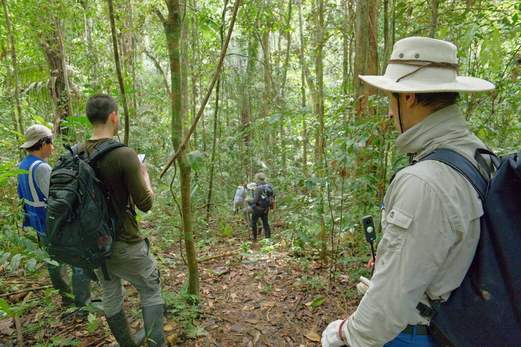 Fund the Planet-Teammitglieder bei der Arbeit im Amazonas-Regenwald in Peru.